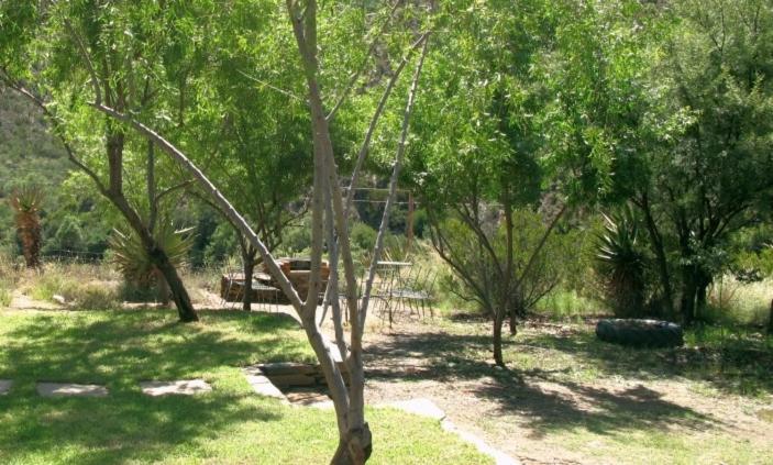 Hotel The Old School House Calitzdorp Esterno foto